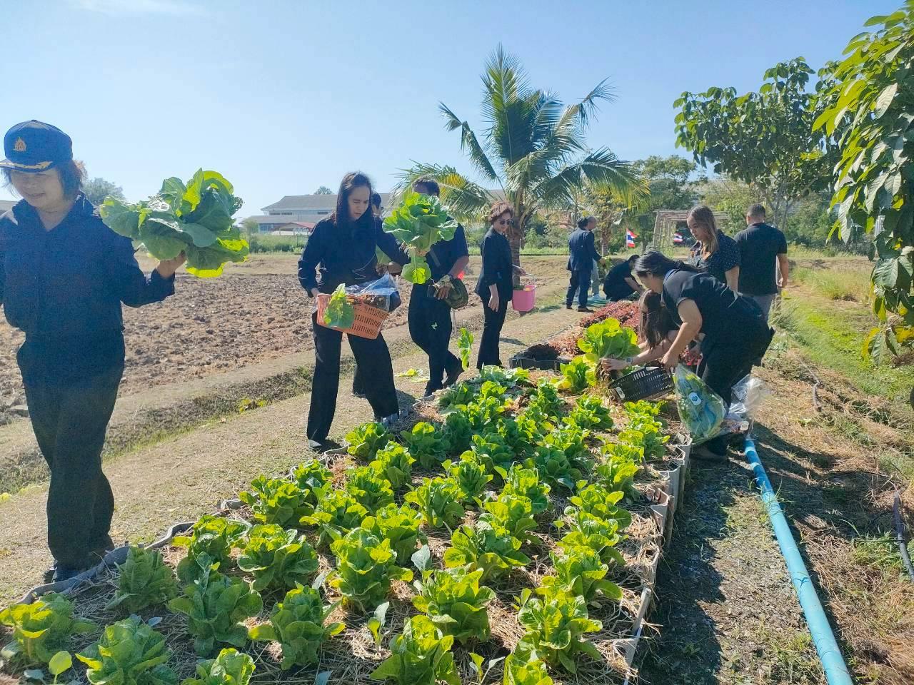 ภาพประกอบที่ 41
