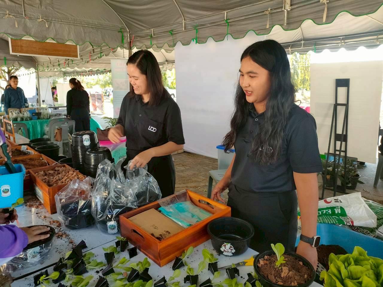 ภาพประกอบที่ 42