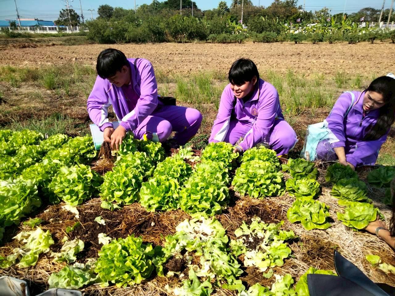 ภาพประกอบที่ 47