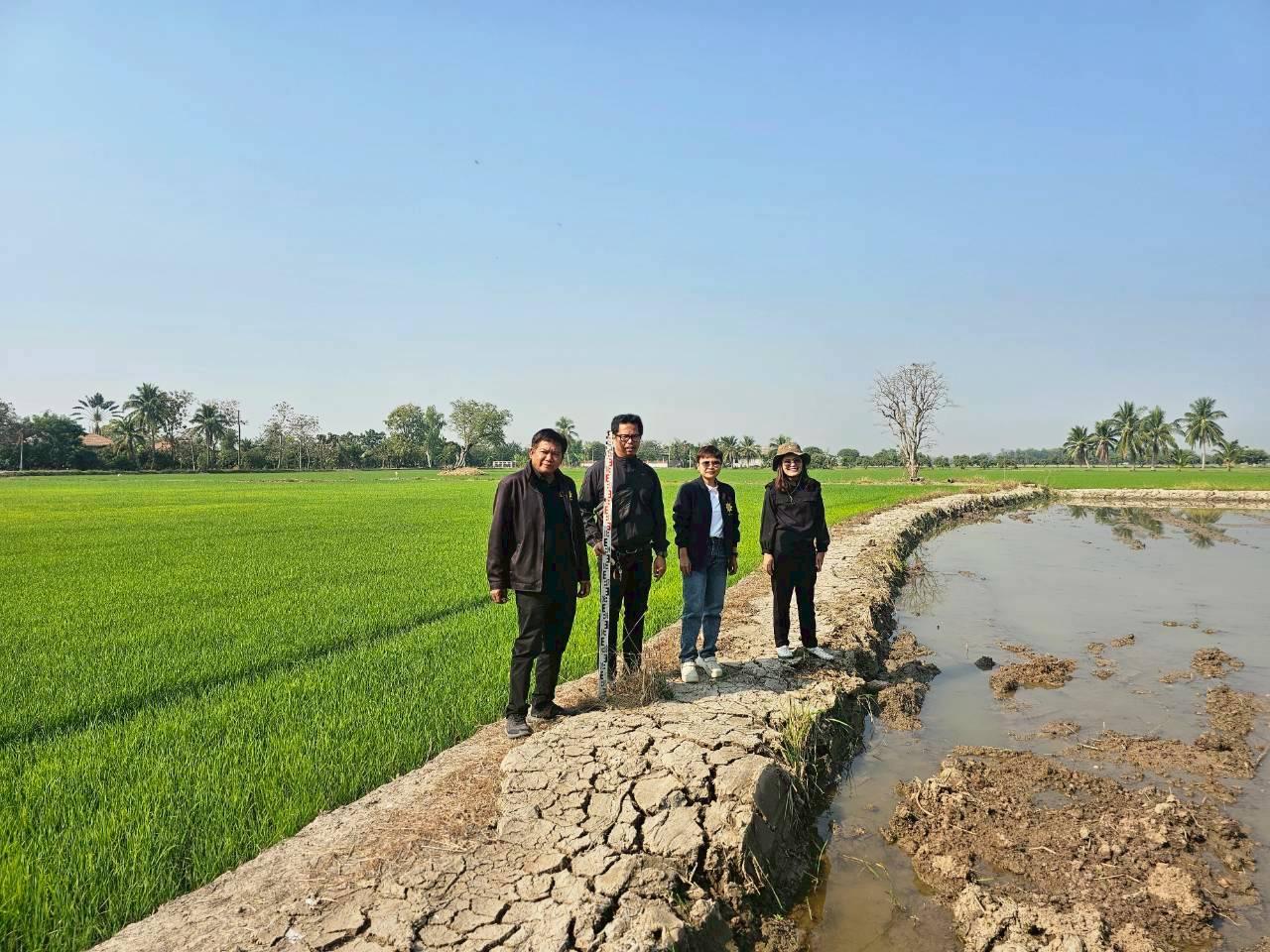 ภาพประกอบที่ 0