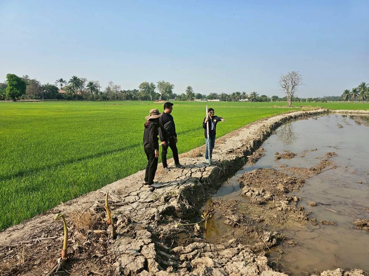 ภาพประกอบที่ 1