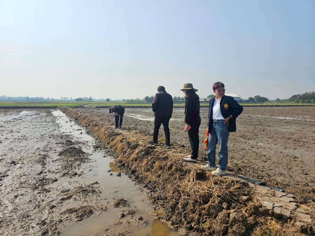 ภาพประกอบที่ 3