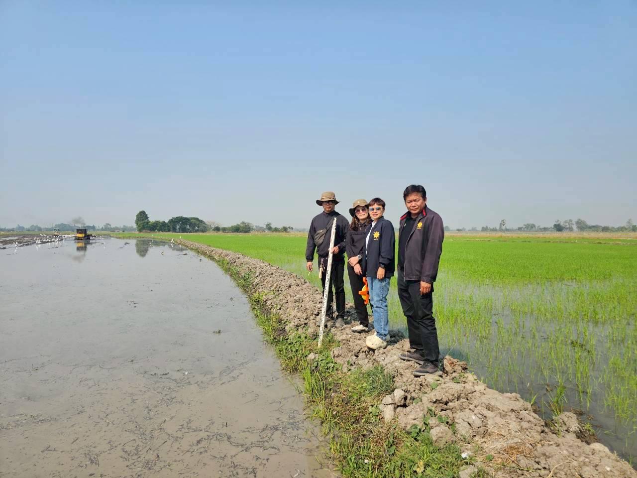 ภาพประกอบที่ 8