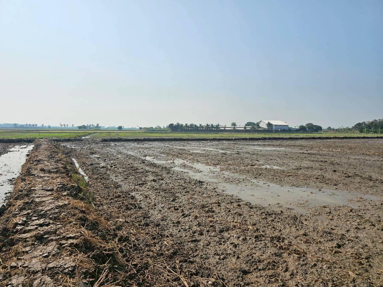 ภาพประกอบที่ 13