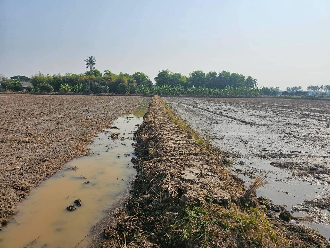 ภาพประกอบที่ 14