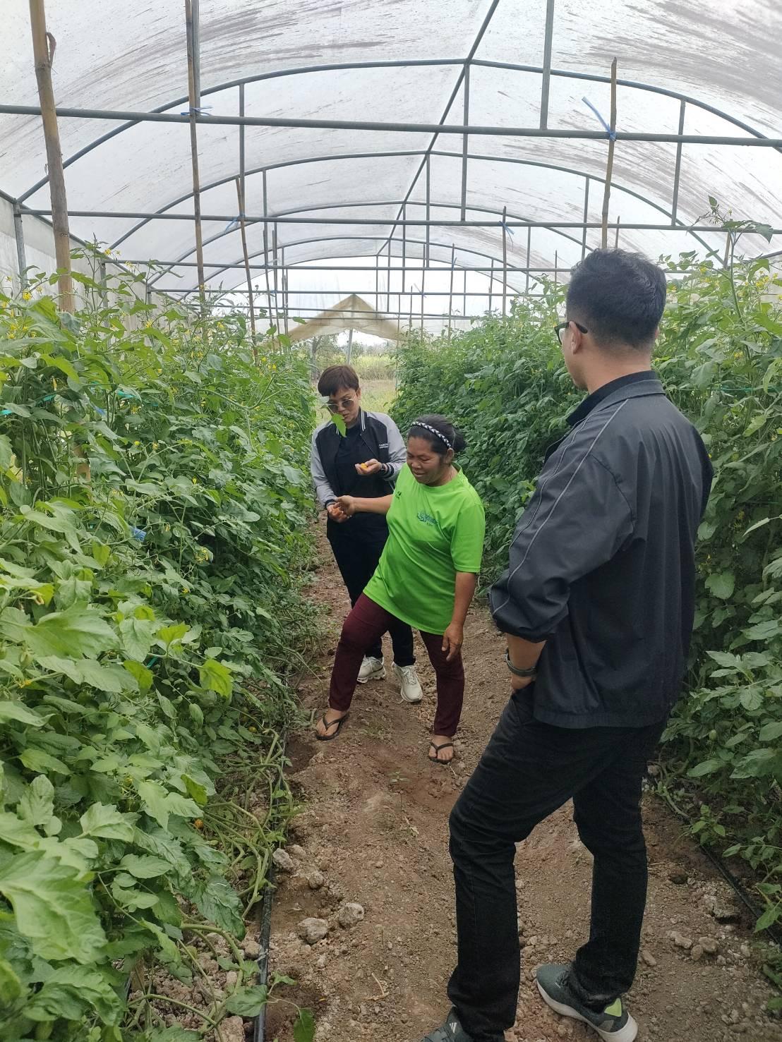 ภาพประกอบที่ 16