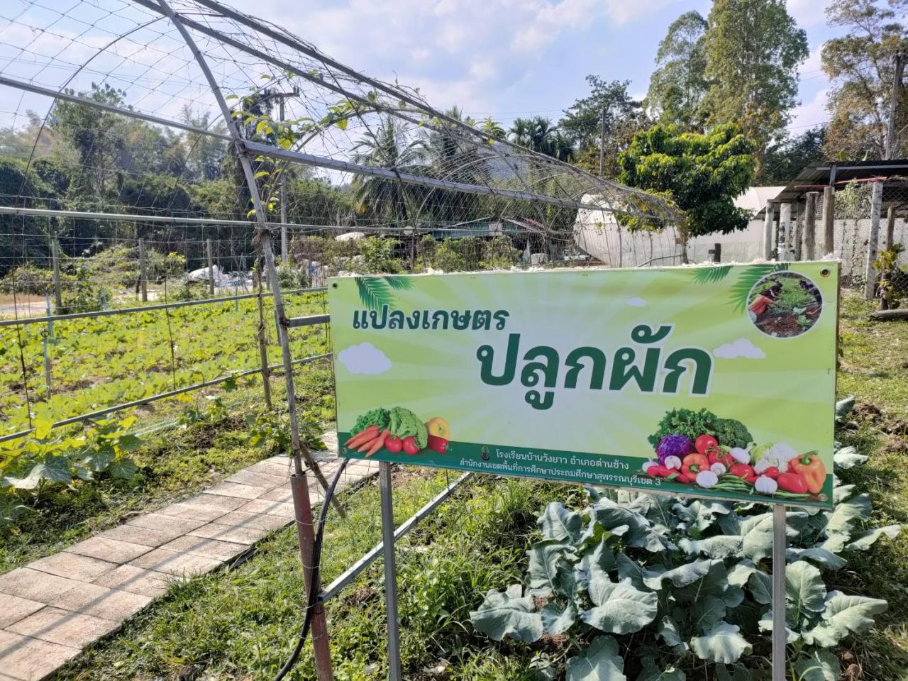 ภาพประกอบที่ 23