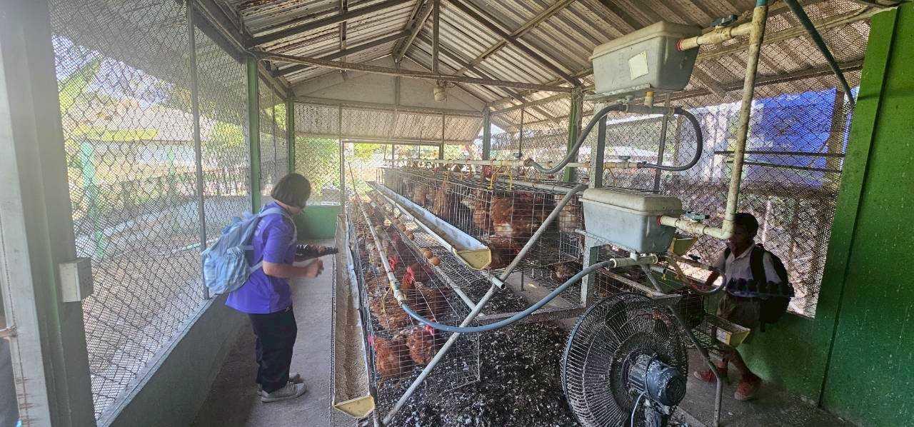 ภาพประกอบที่ 2