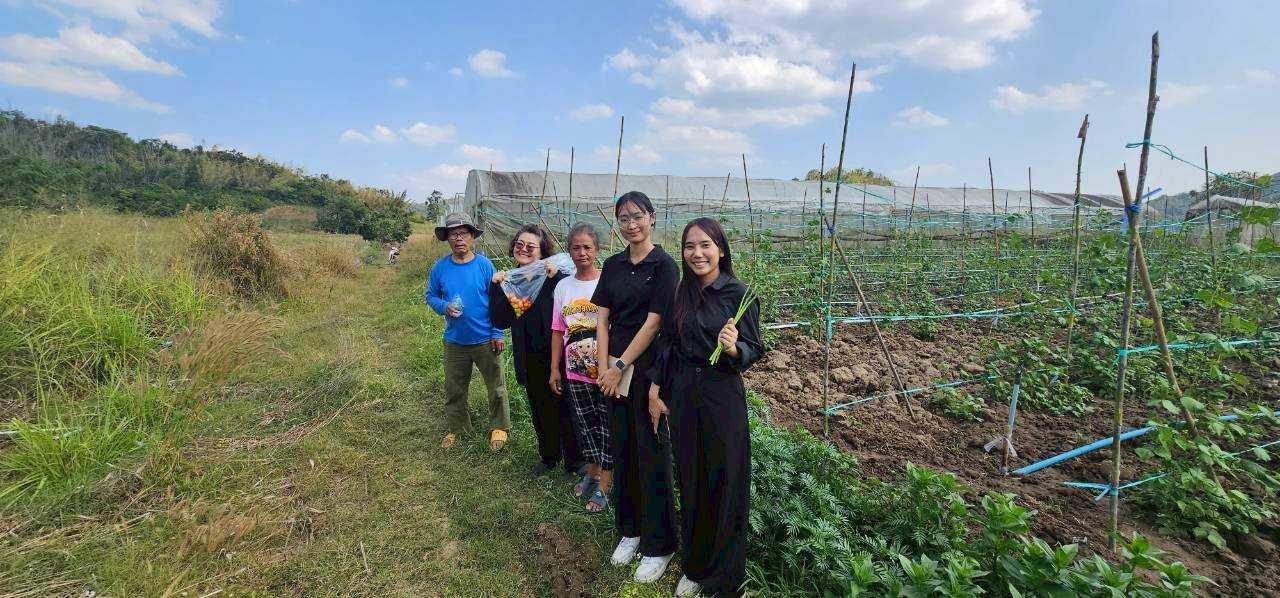 ภาพประกอบที่ 4