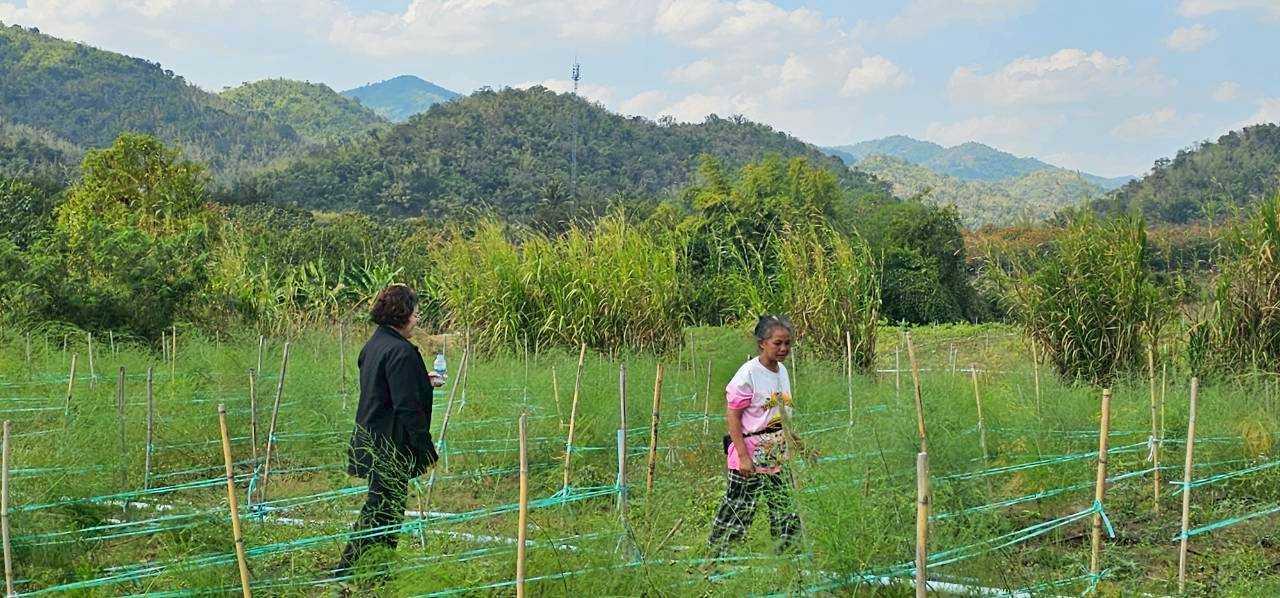 ภาพประกอบที่ 5