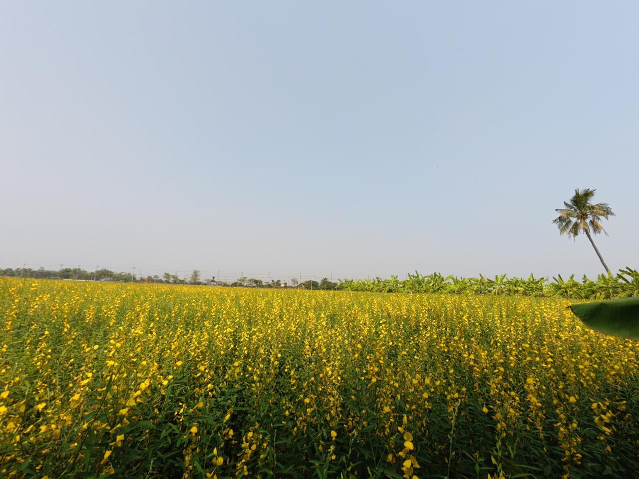 ภาพประกอบที่ 8