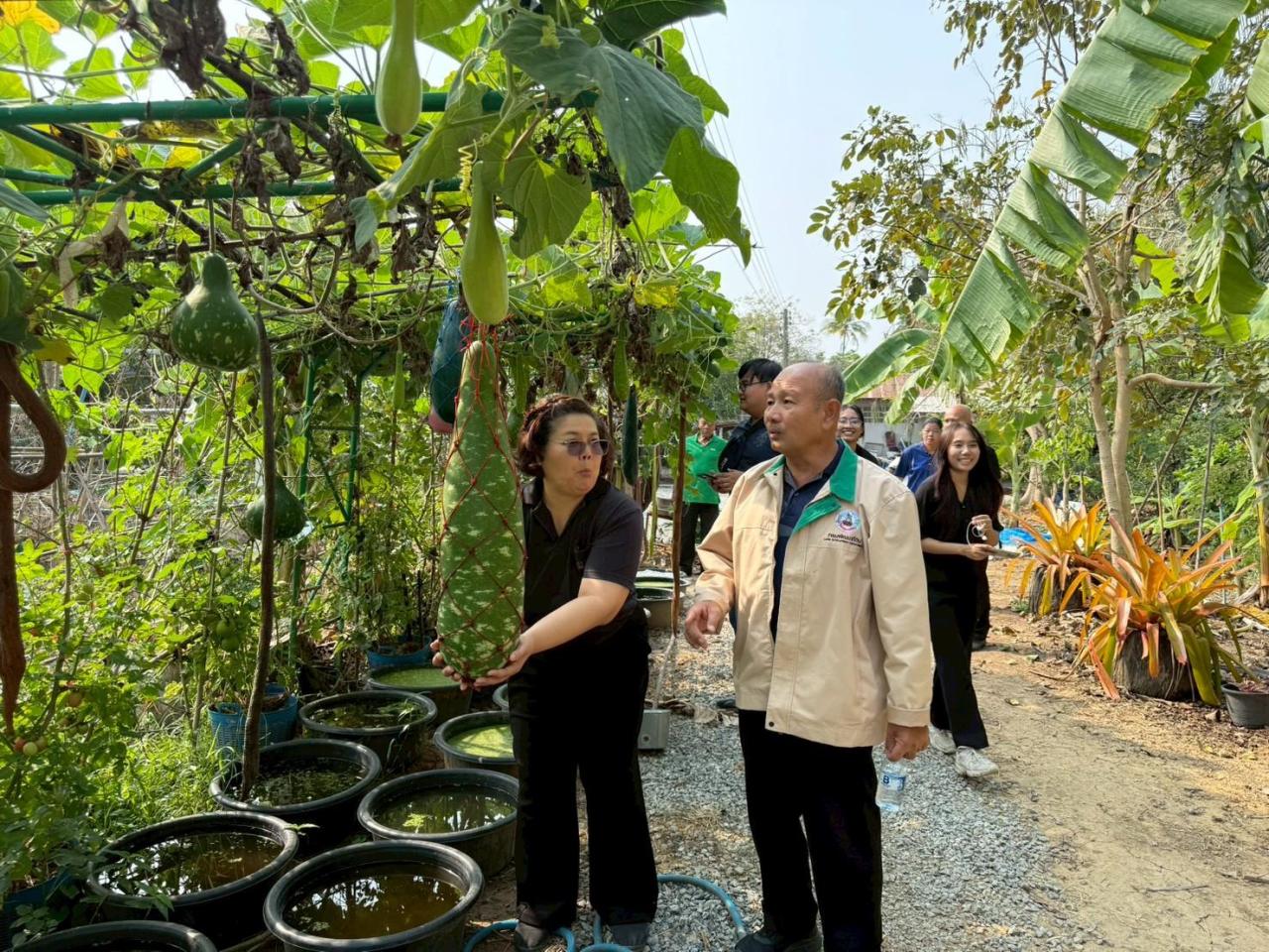 ภาพประกอบที่ 12