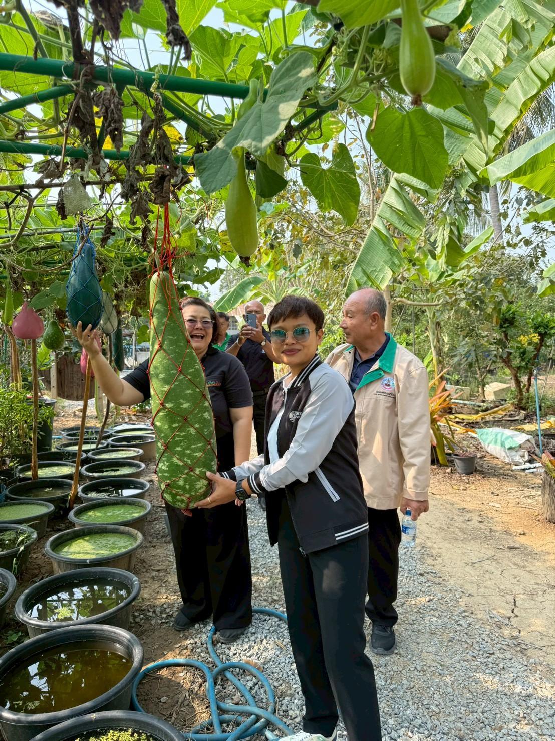 ภาพประกอบที่ 13