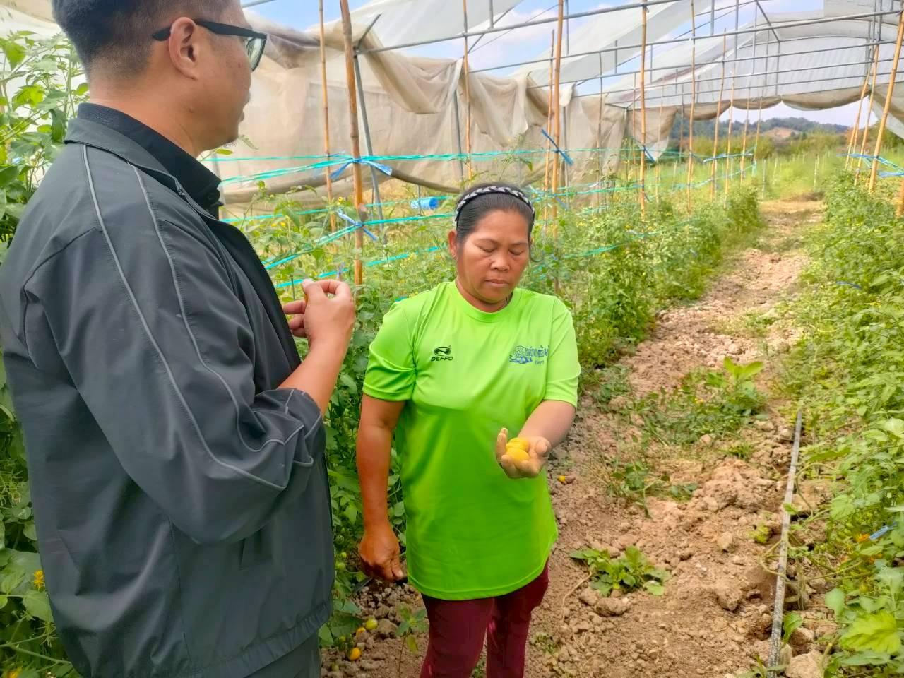 ภาพประกอบที่ 15