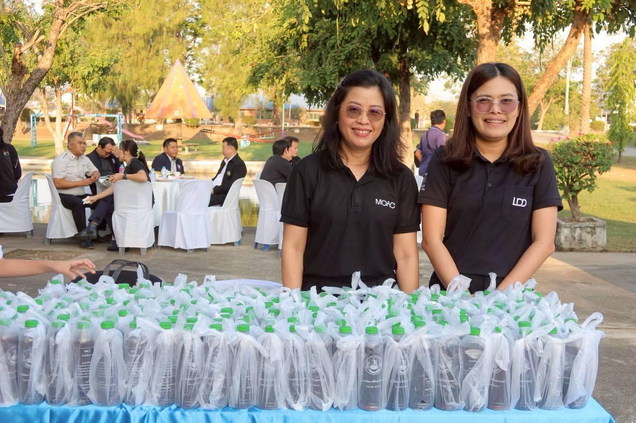 ภาพประกอบที่ 11