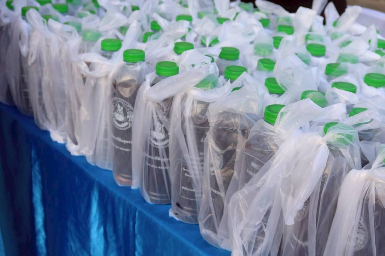 ภาพประกอบที่ 12