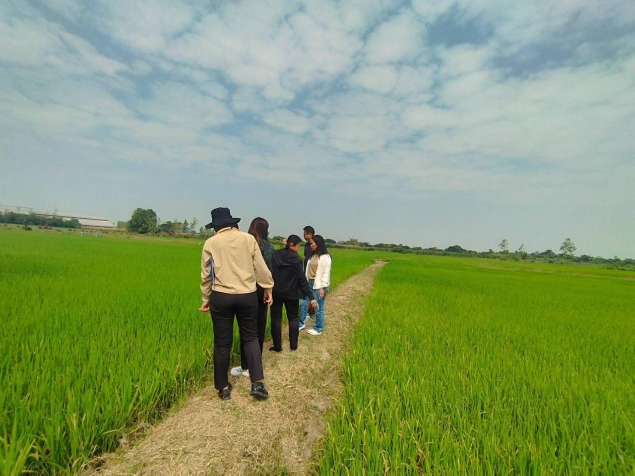 ภาพประกอบที่ 4