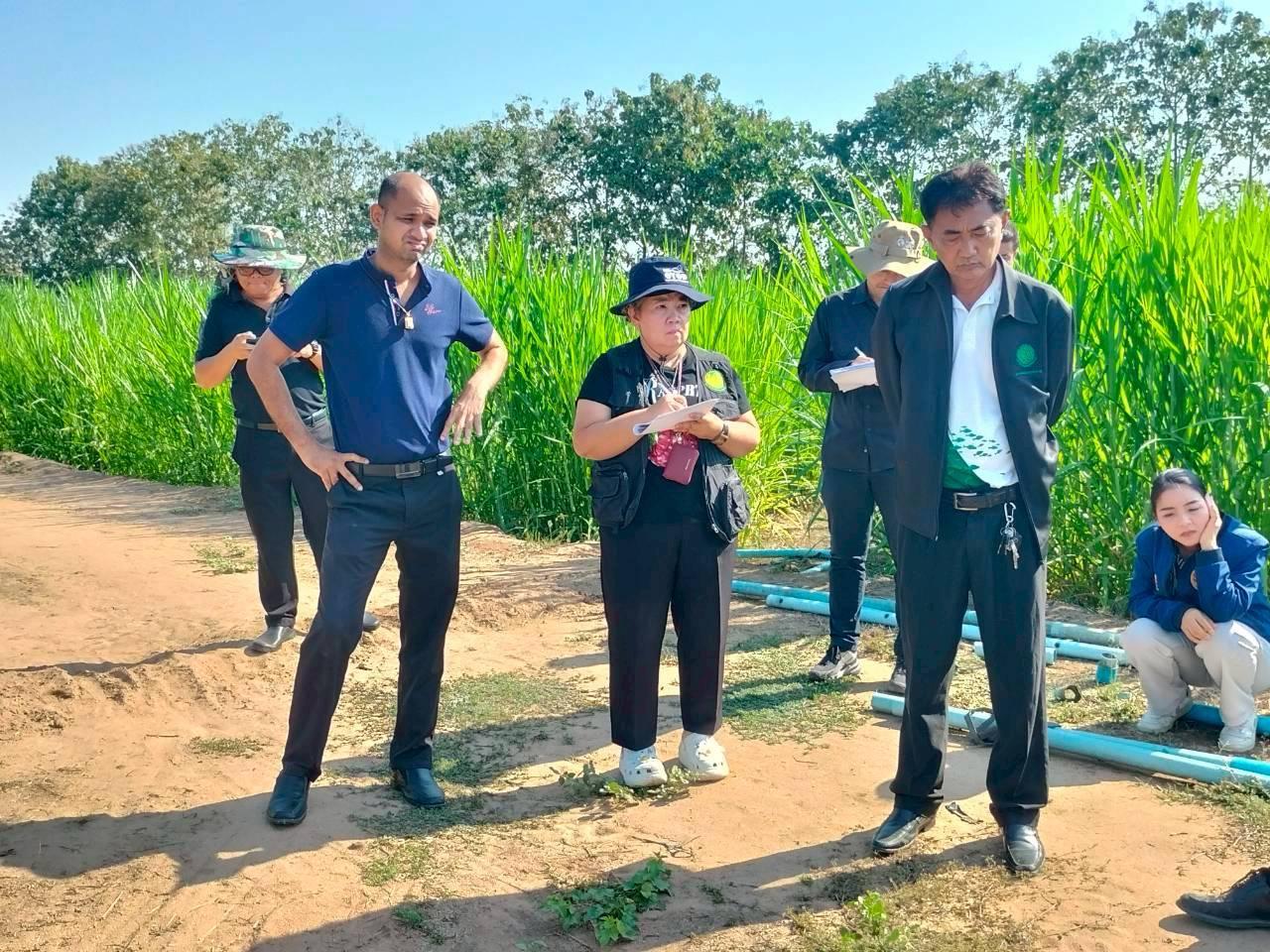 ภาพประกอบที่ 5