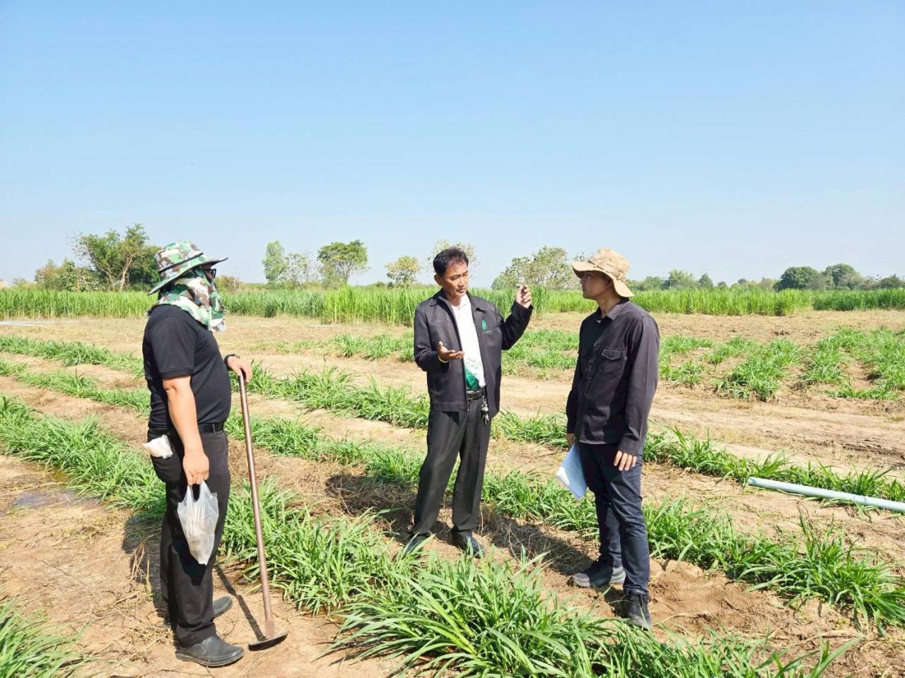 ภาพประกอบที่ 6