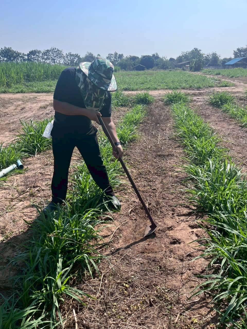 ภาพประกอบที่ 10