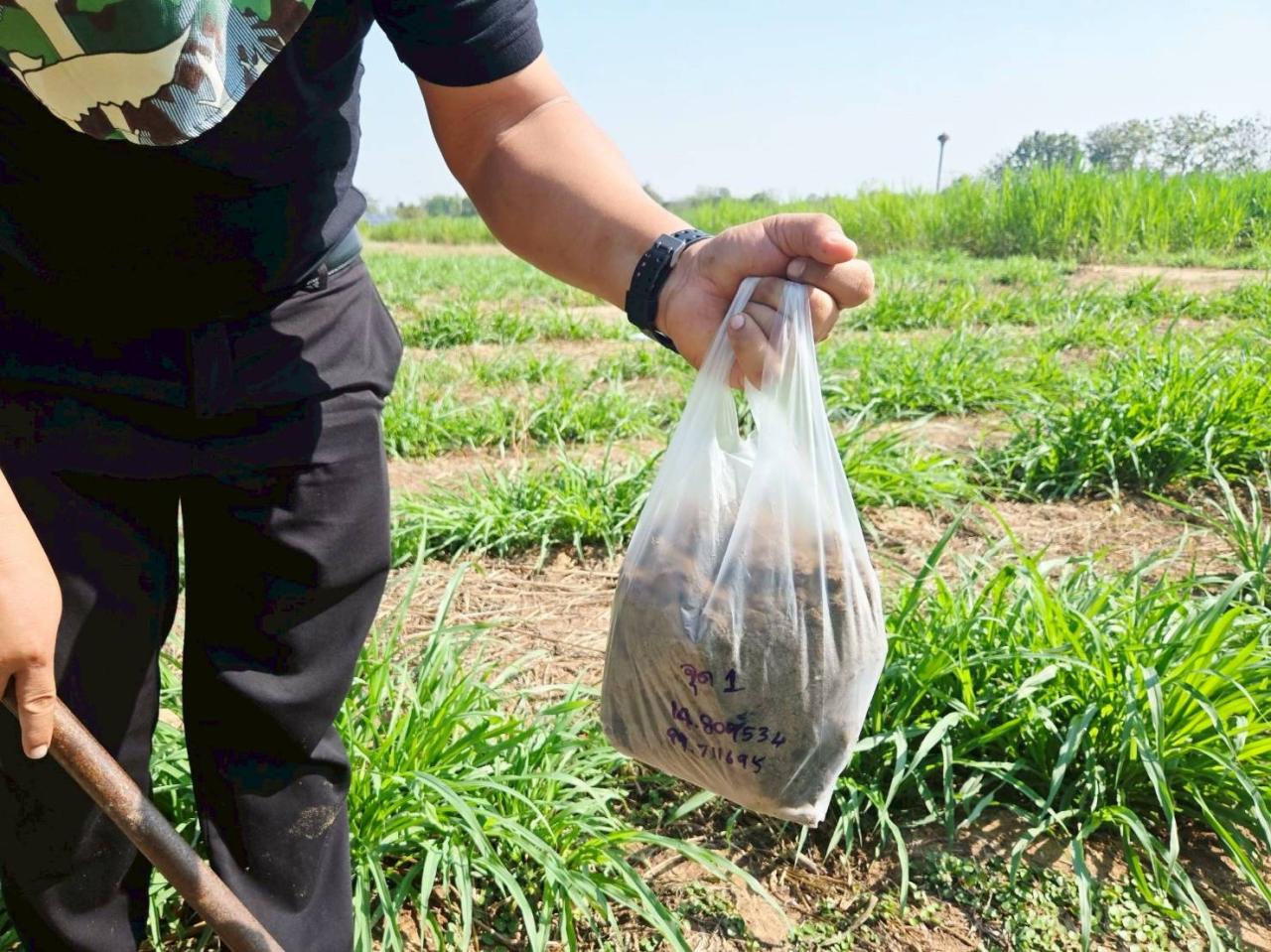 ภาพประกอบที่ 11