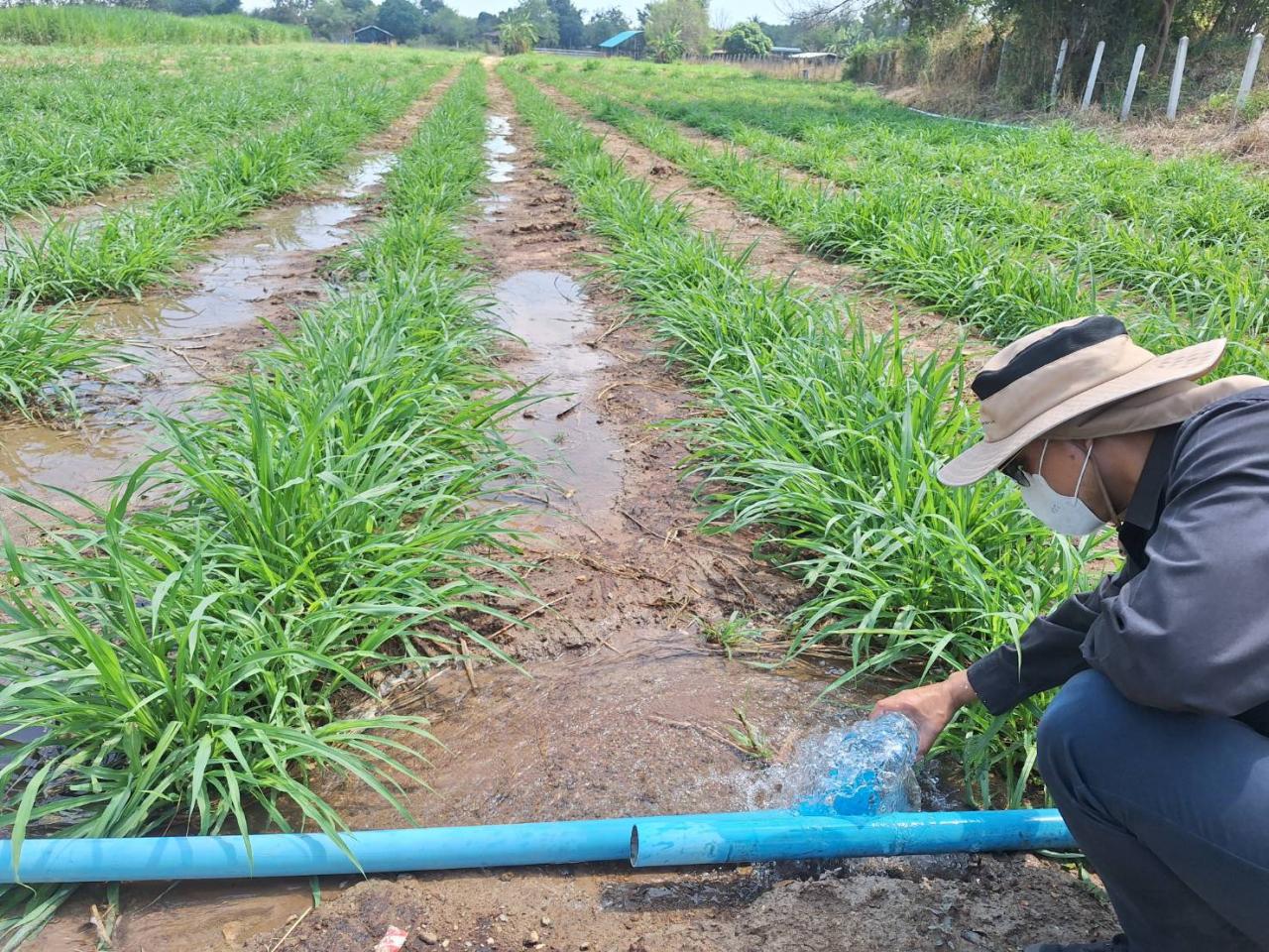 ภาพประกอบที่ 14