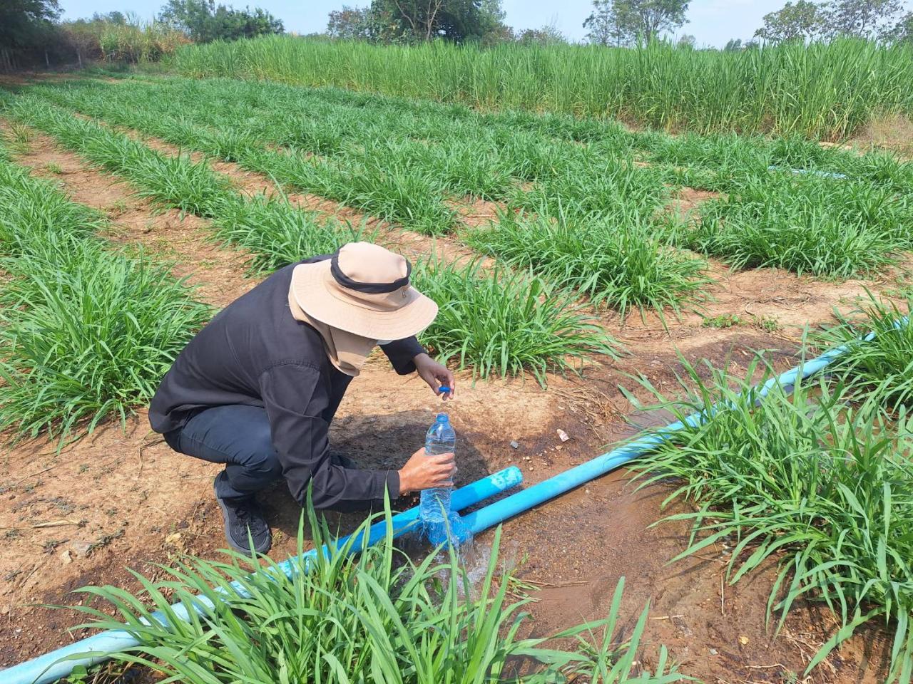 ภาพประกอบที่ 15