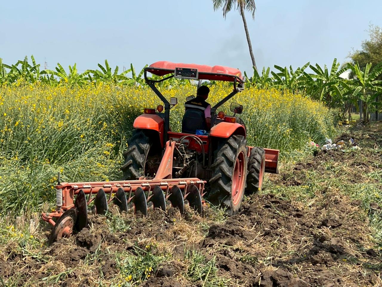 ภาพประกอบที่ 29