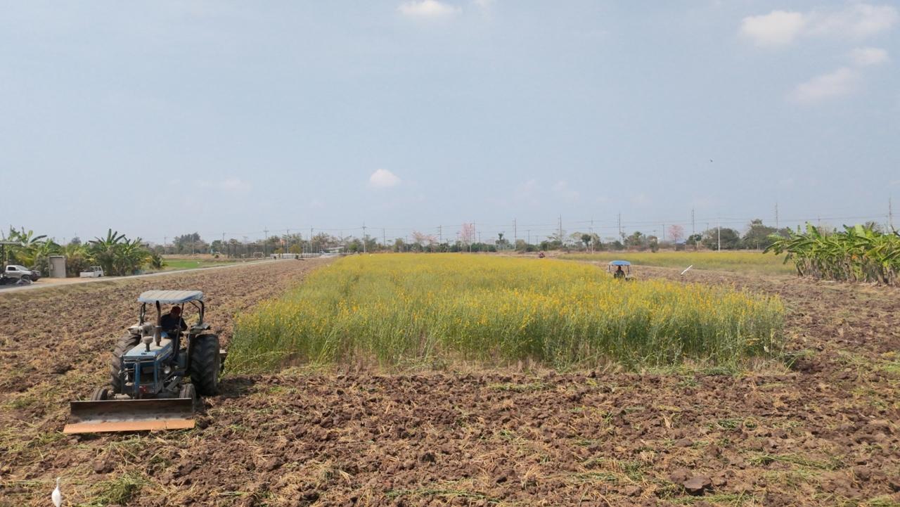 ภาพประกอบที่ 14