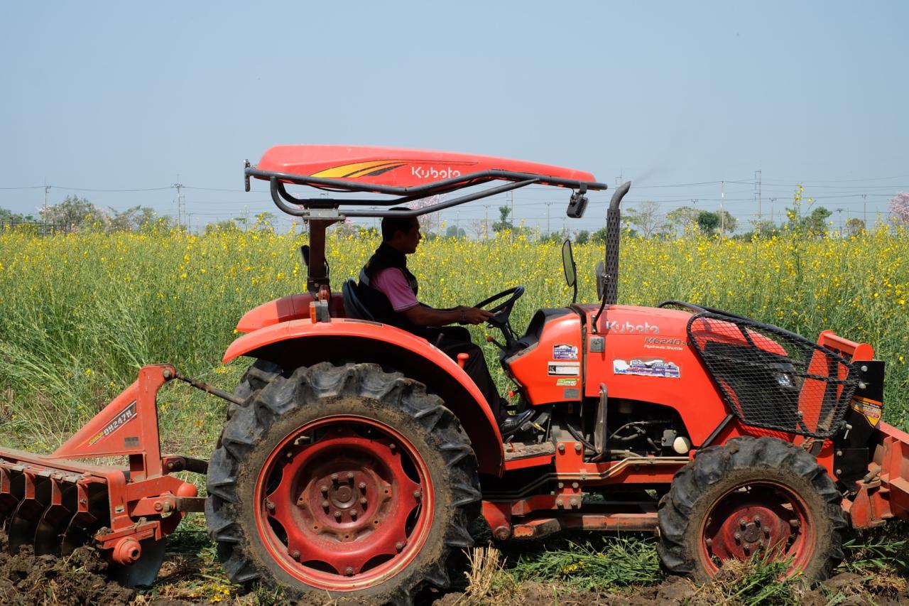 ภาพประกอบที่ 19