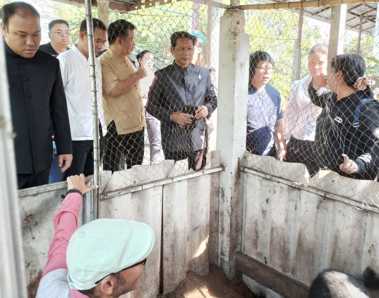 ภาพประกอบที่ 6