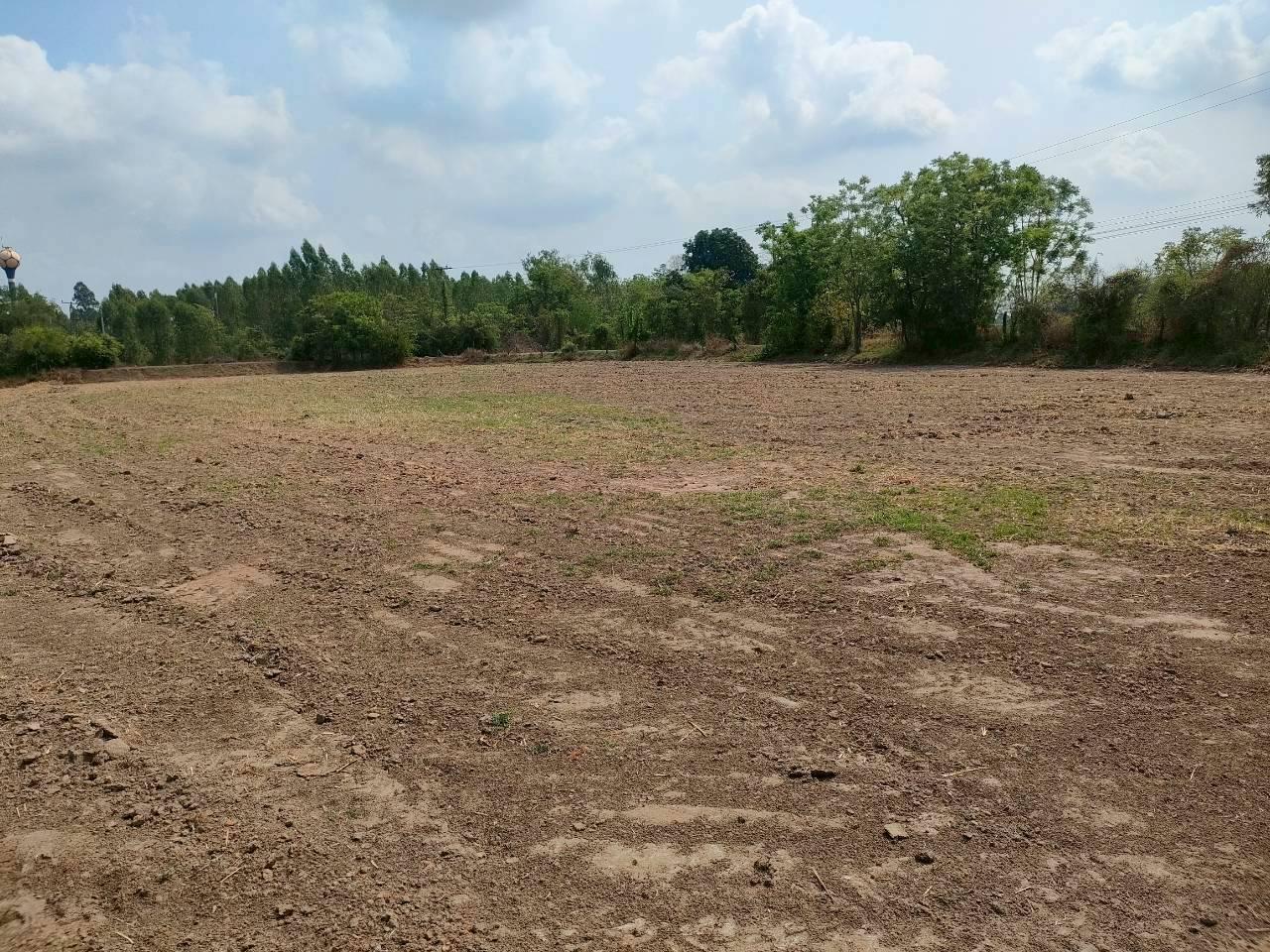 ภาพประกอบที่ 7