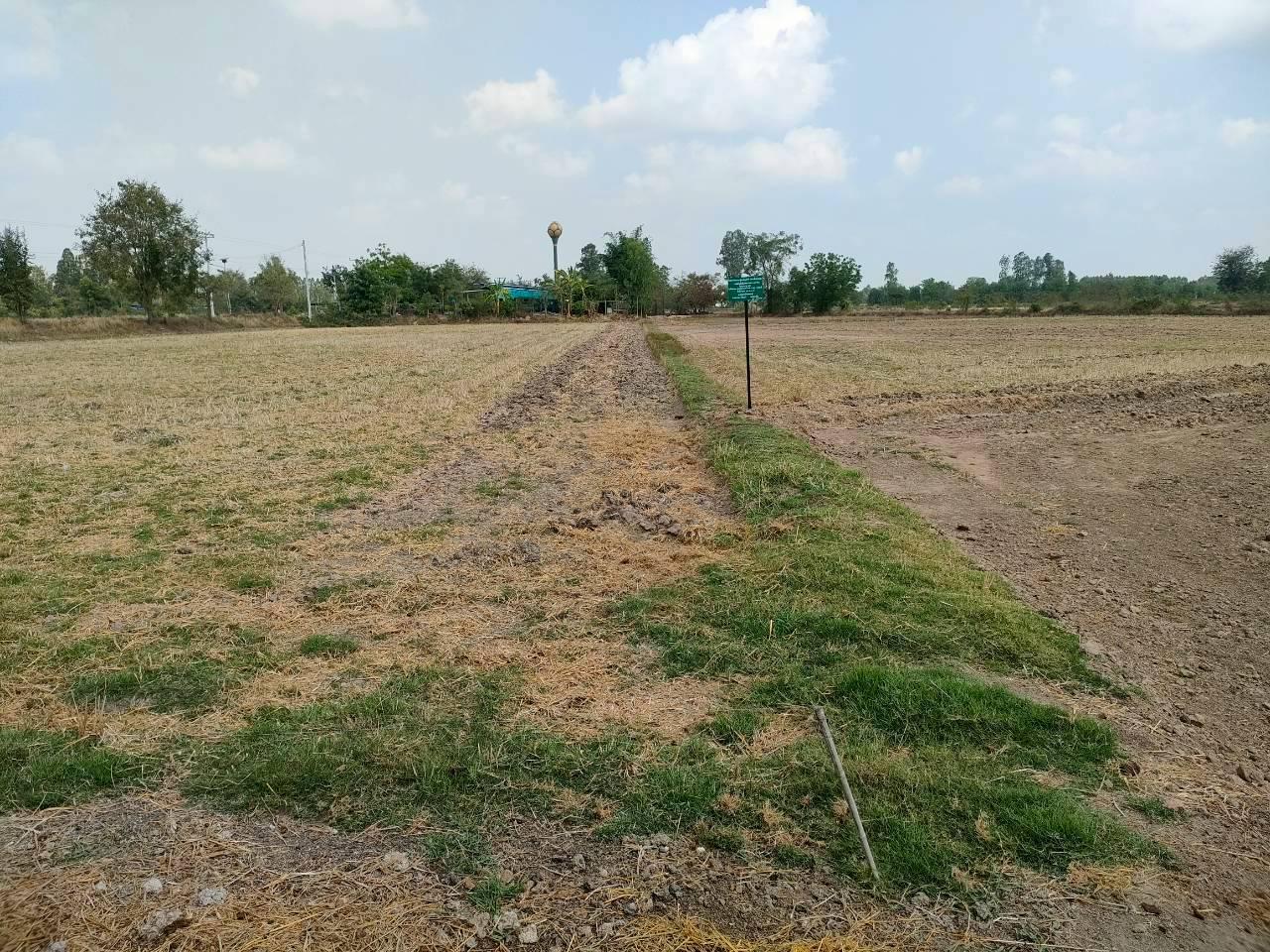 ภาพประกอบที่ 10