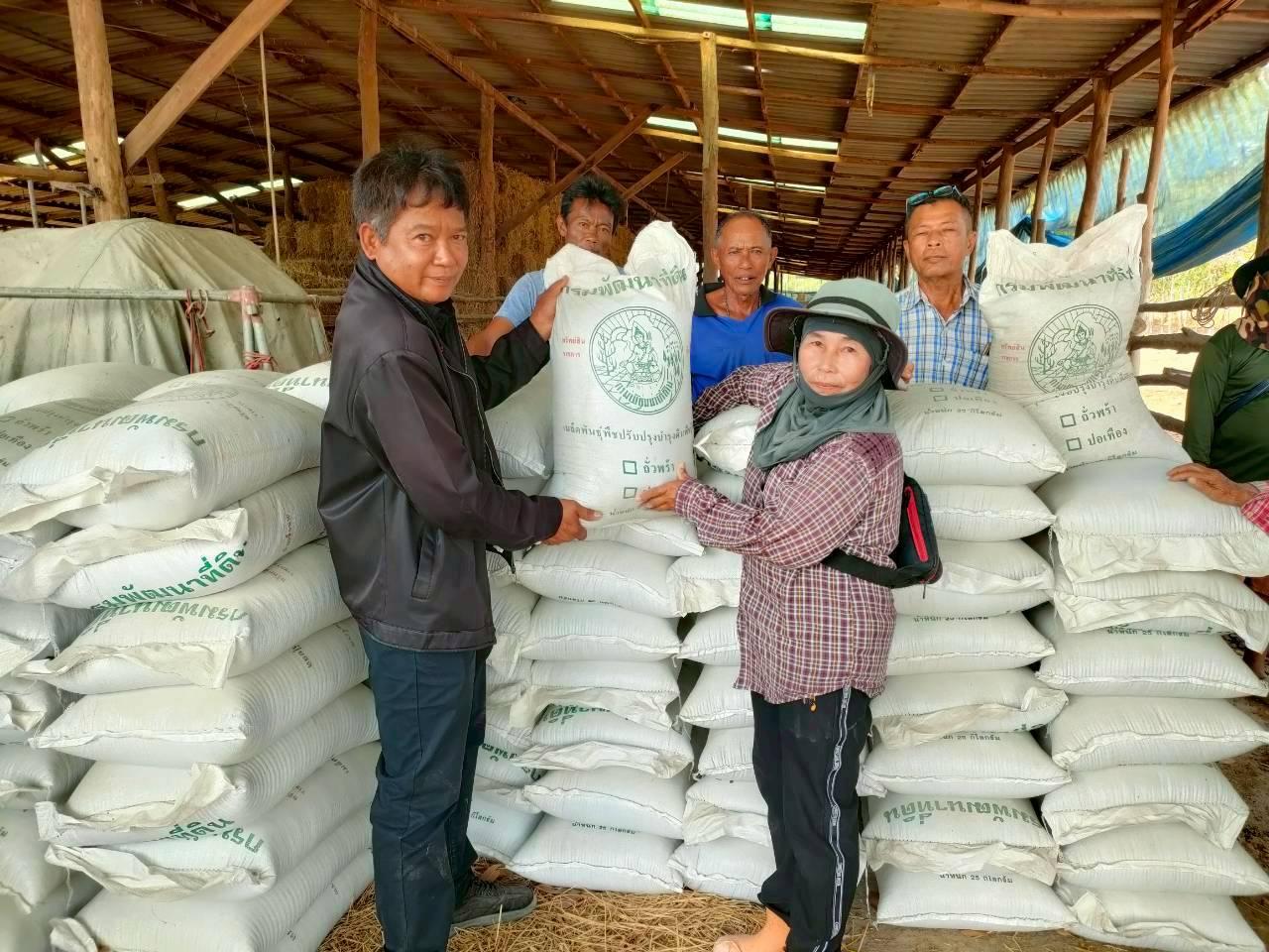 ภาพประกอบที่ 11