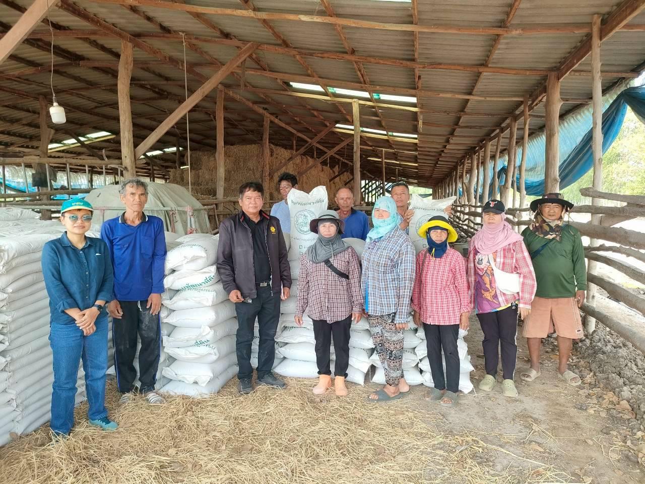 ภาพประกอบที่ 12