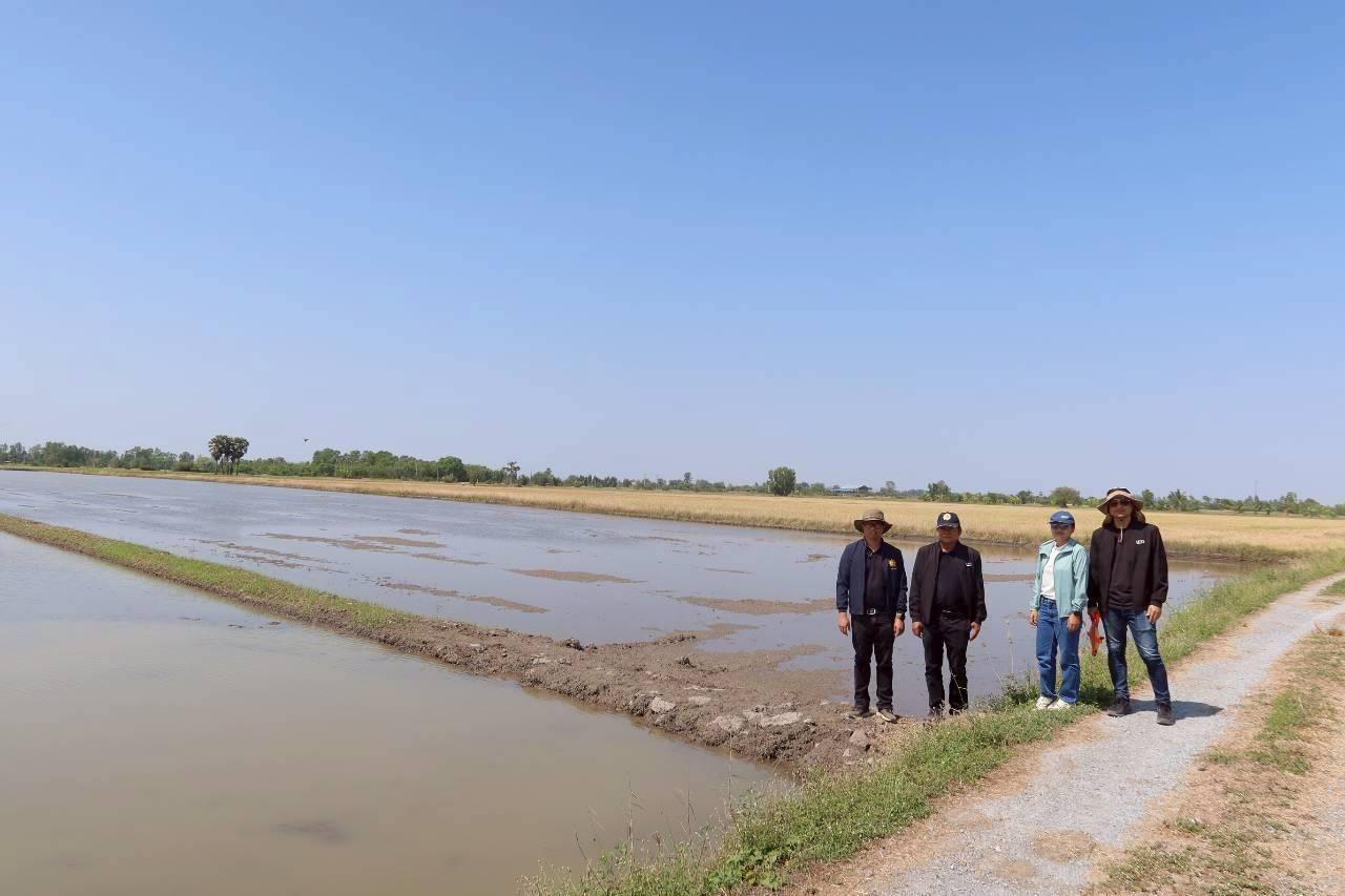 ภาพประกอบที่ 4