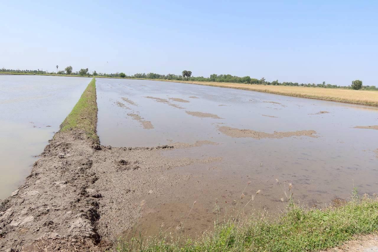 ภาพประกอบที่ 5