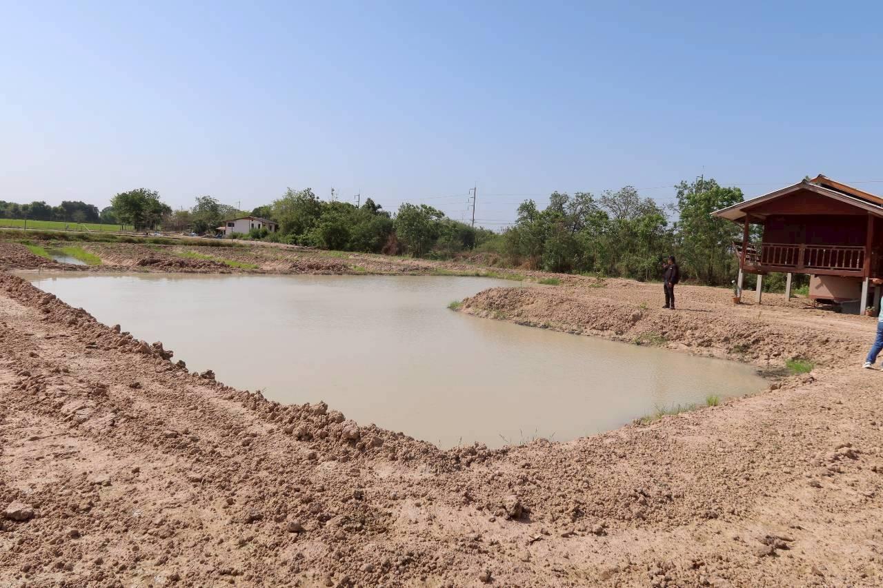 ภาพประกอบที่ 7