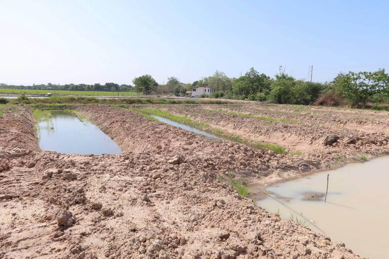 ภาพประกอบที่ 8