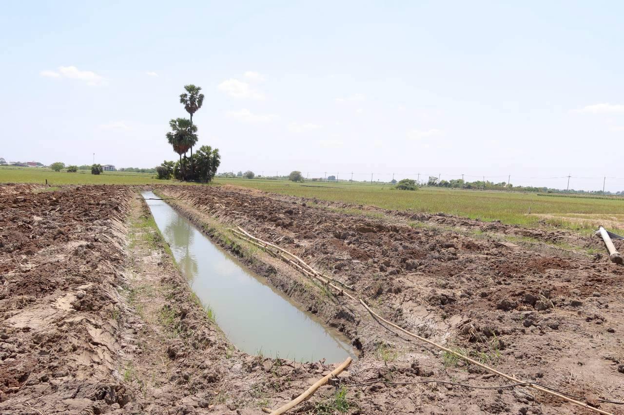 ภาพประกอบที่ 5