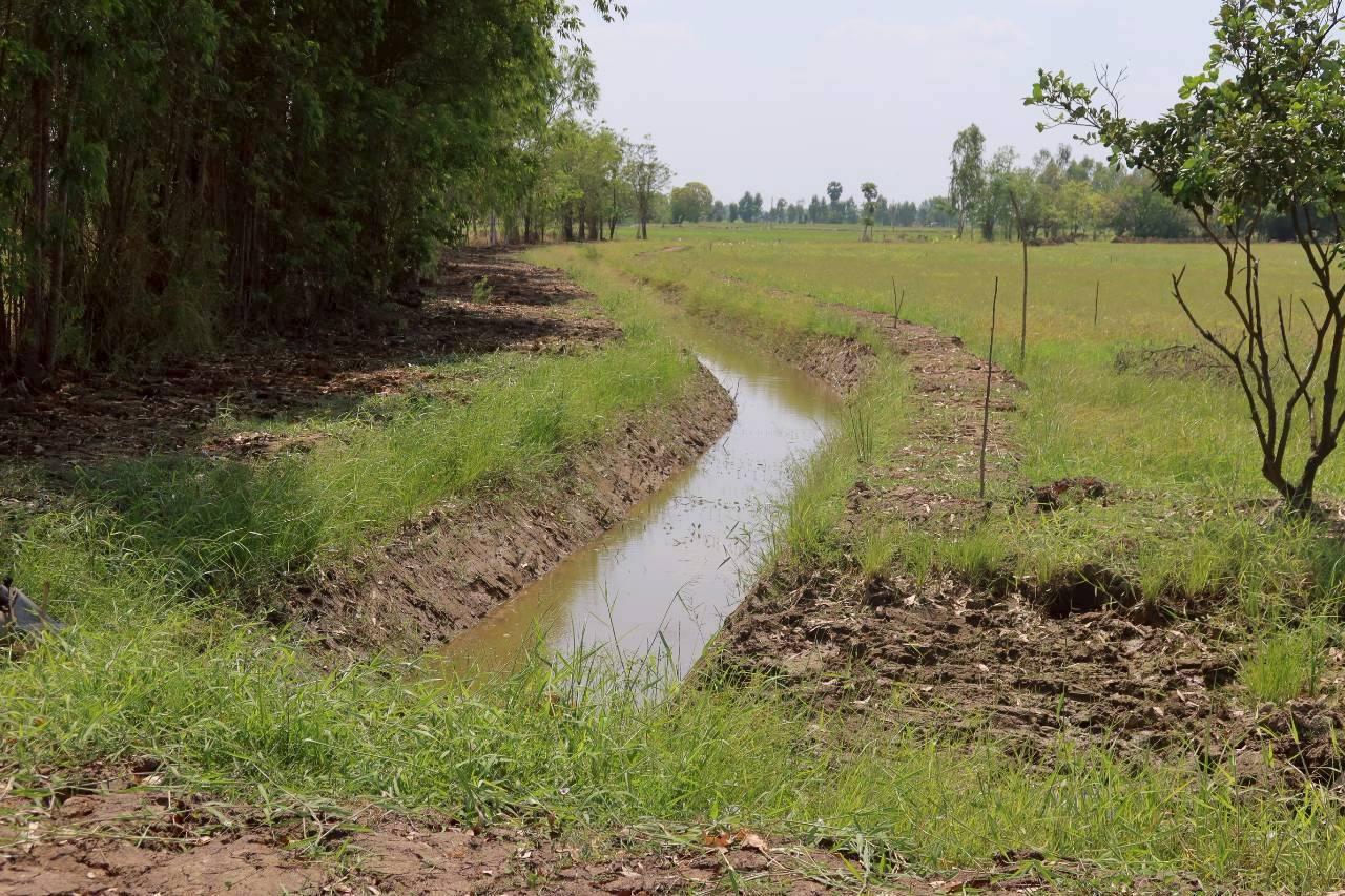 ภาพประกอบที่ 8