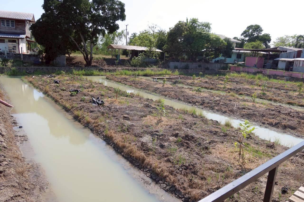 ภาพประกอบที่ 11