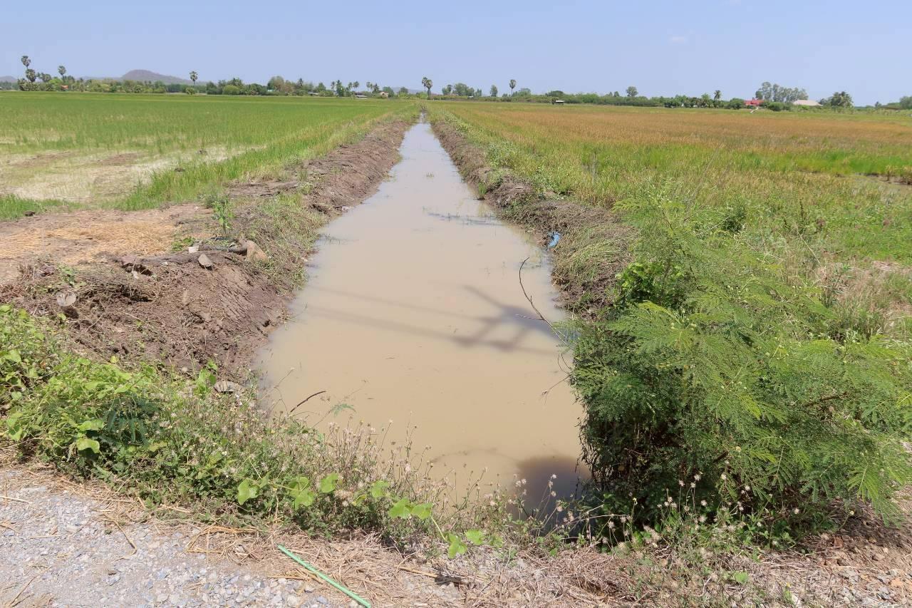 ภาพประกอบที่ 12