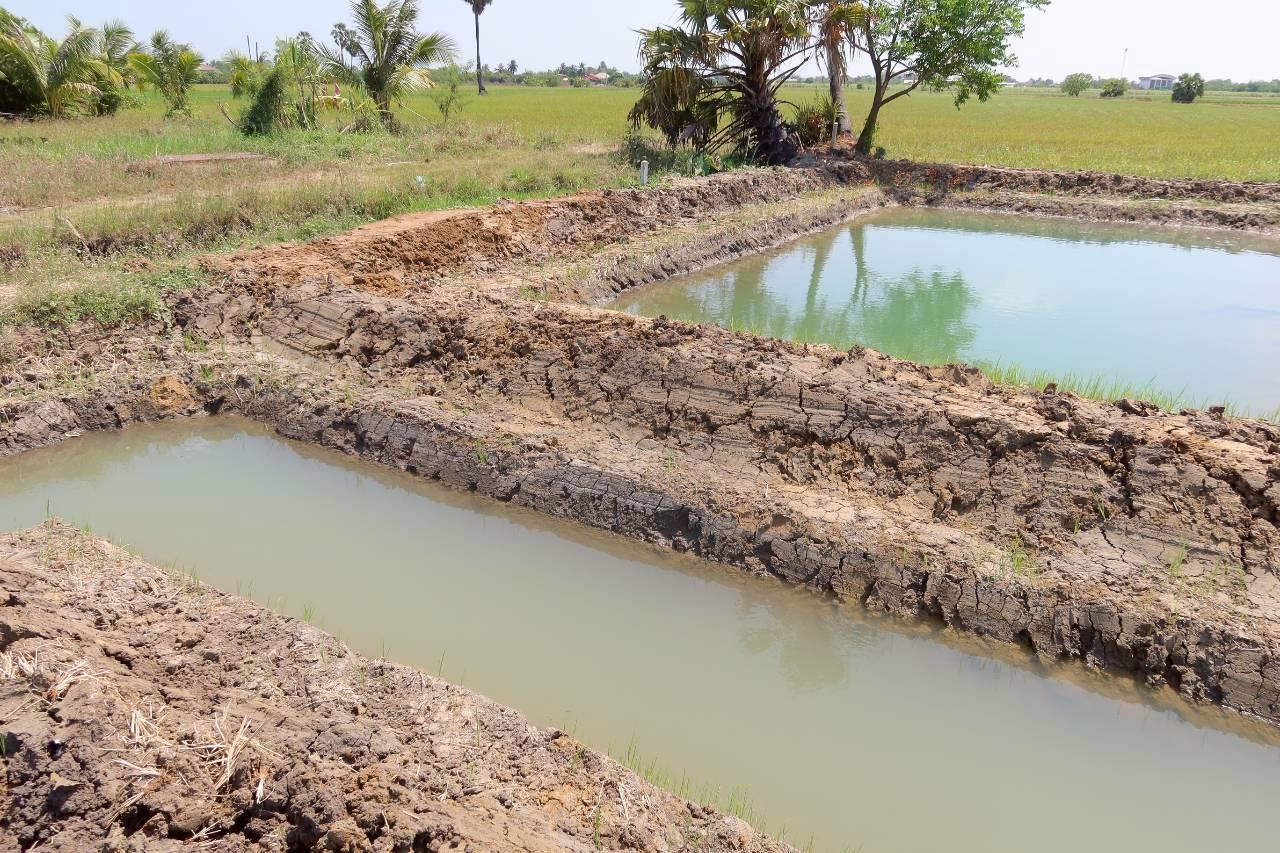 ภาพประกอบที่ 13