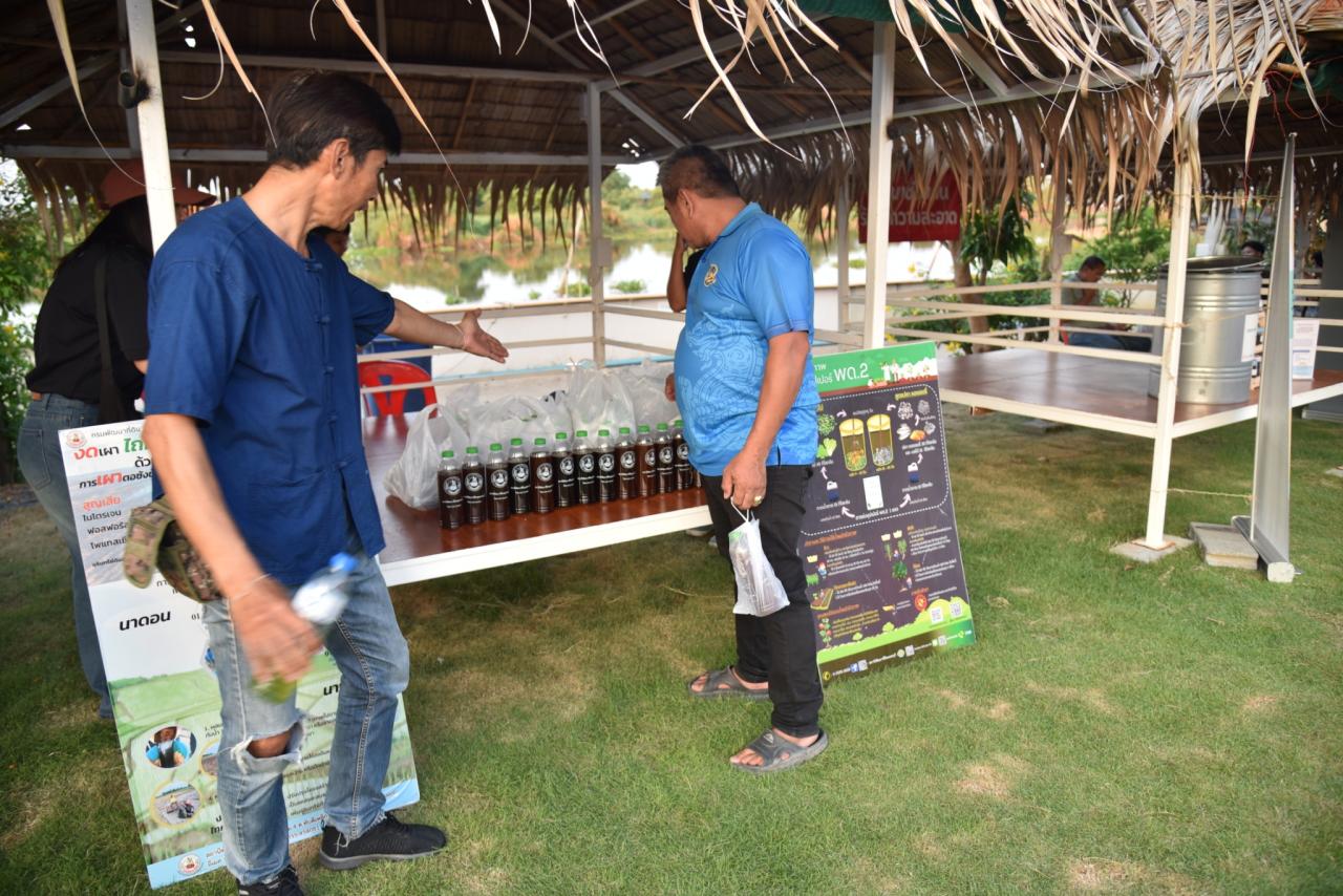 ภาพประกอบที่ 11