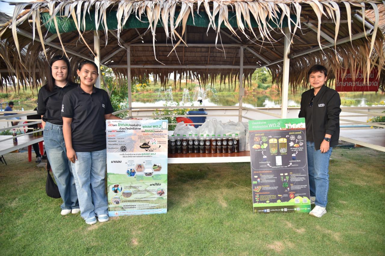 ภาพประกอบที่ 12