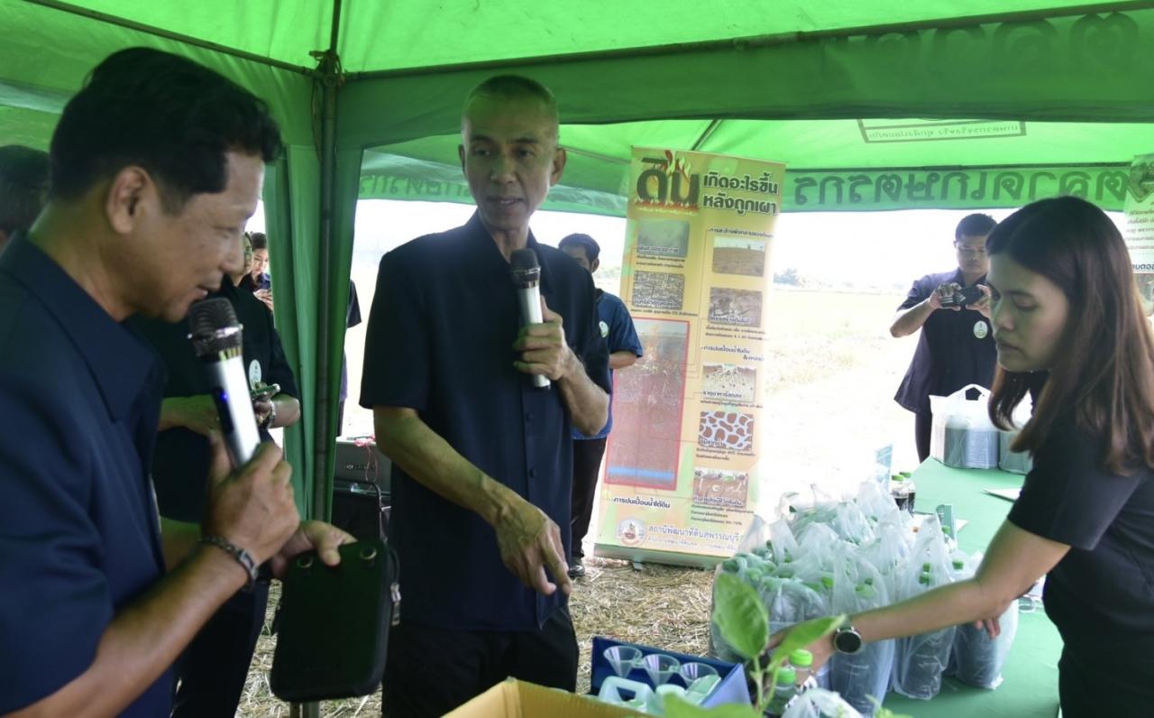 ภาพประกอบที่ 11