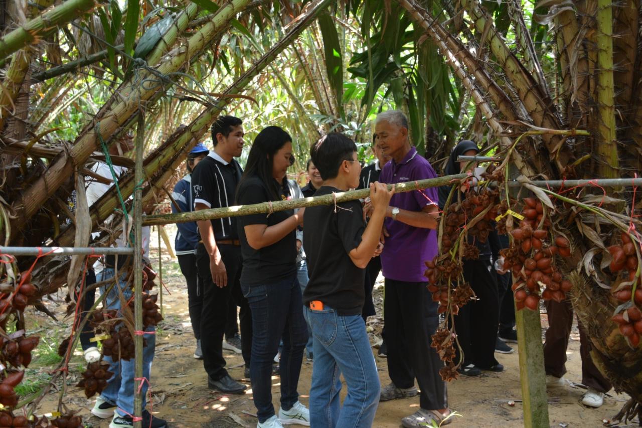 ภาพประกอบที่ 9