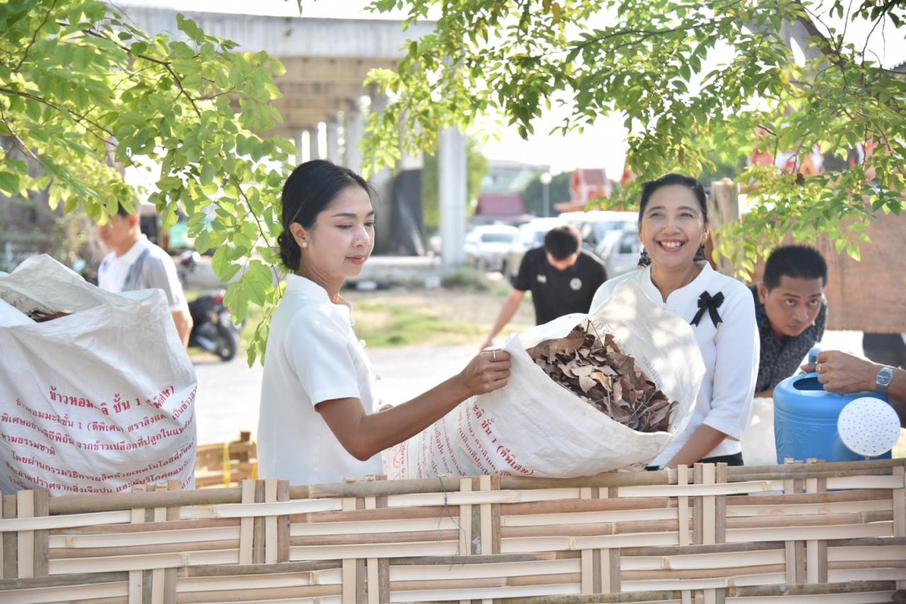 ภาพประกอบที่ 12