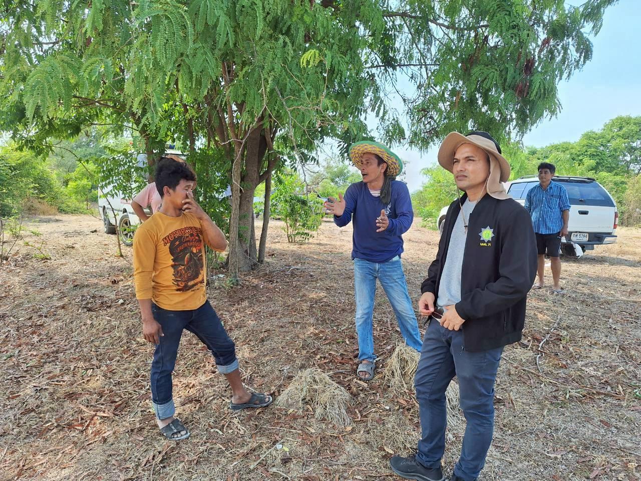 ภาพประกอบที่ 0